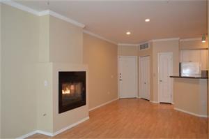  2 Bedroom, poolside with Gas Fireplace