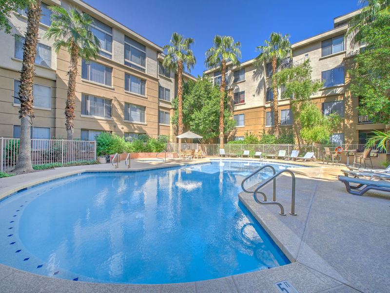 One of Biltmore Square's resort-style pools, surrounded by palm trees and the residence buildings