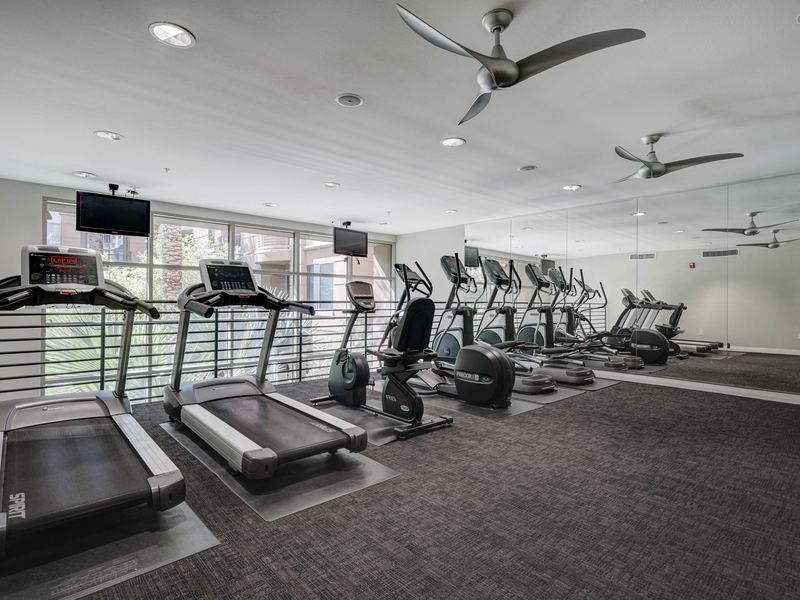 Second-floor cardio room with treadmills and ellipticals