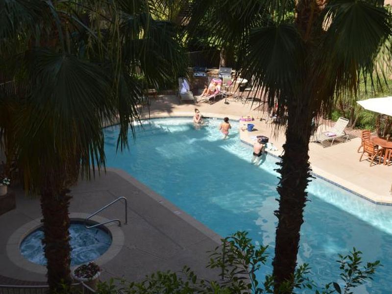 Residents swimming in one of the pools, shaded by palm trees