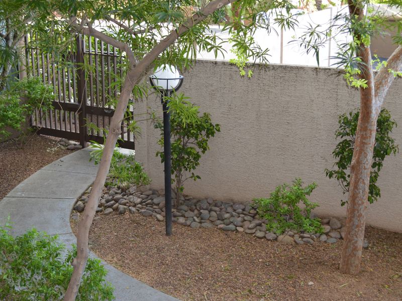 Landscaped garden walkway and gate